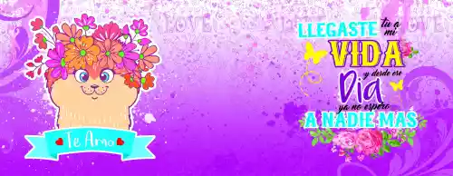 vectores plantilas AMOR,AMISTAD,FESTEJO,